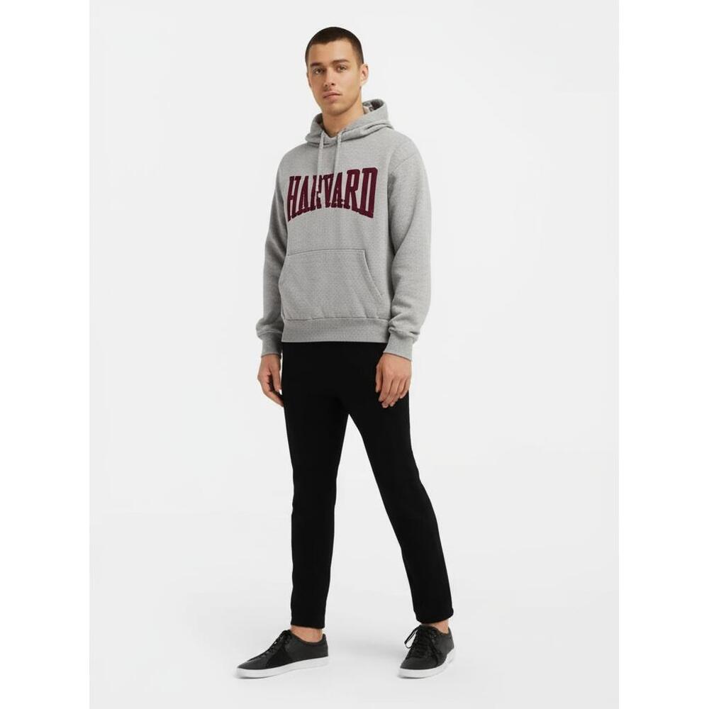 HARVARD Hoodie Mens Size M Grey Pullover Kangaroo Pocket Collegiate Casual